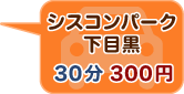 シスコンパーク下目黒　30分300円